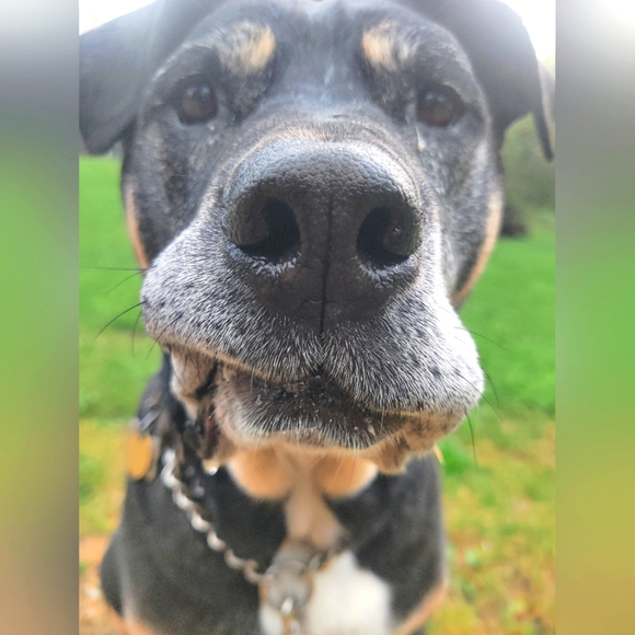 Meet your Posher, Colleen - Picture 1 of 1